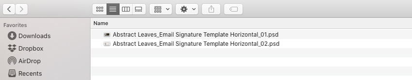 Choose email signature version